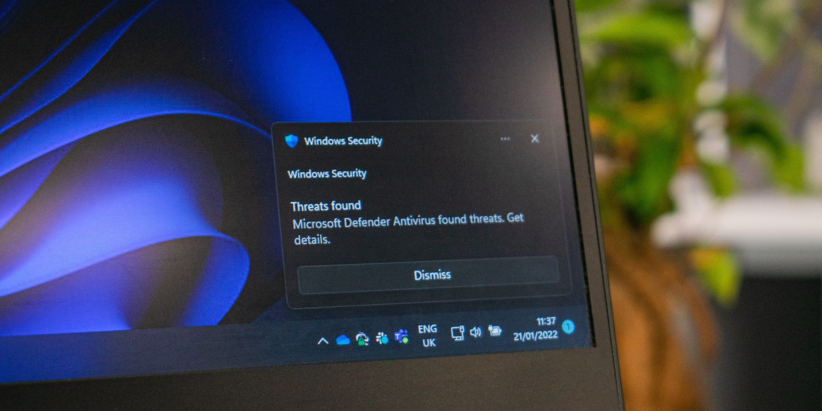 Unlock the Full Potential of Windows Photos App with Visual & Audio Tweaks for 2024