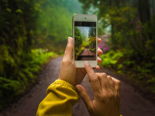 Comment Recuperer Des Fichiers X3F Désormais Inaccessibles Sur Votre Appareil-Photo Sigma